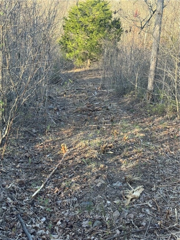 Tract 1 Nc 8374 Rd, Jasper, AR 72641 - photo 5