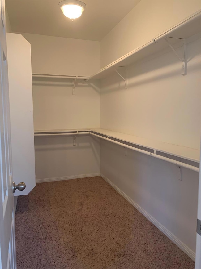 Spacious closet featuring carpet floors