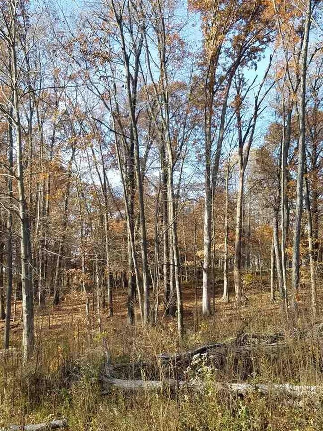 3553 E Coen Rd, Bloomfield, IN 47424 - photo 4