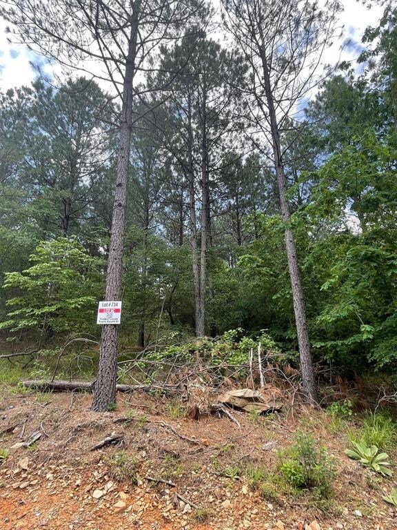 734 Timber Creek Trails South XI, Broken Bow, OK 74728 - photo 4