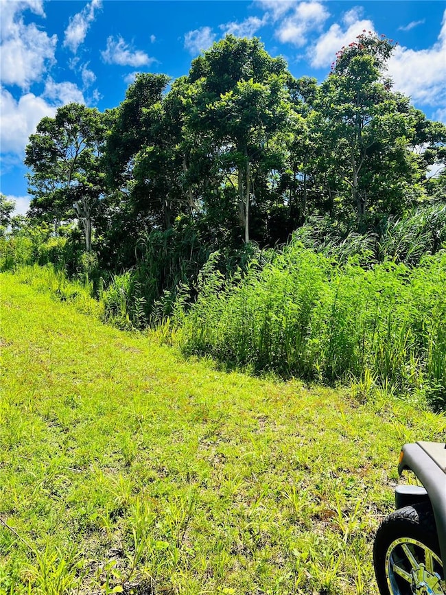 857 Carretera, Carolina, PR 00987 - photo 2