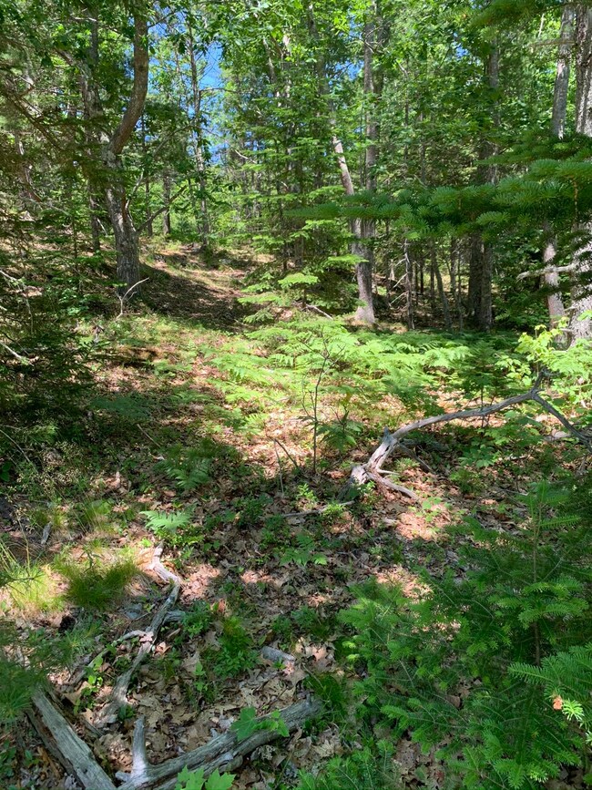 0 Lakeside Dr, Boothbay Harbor, ME 04538 - photo 3