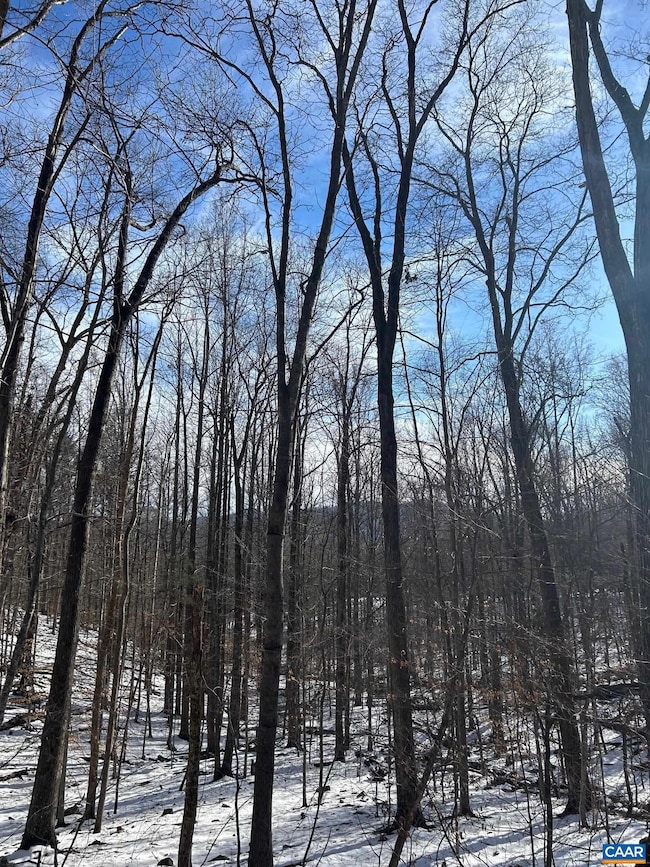 0 Stone Chimneys Rd unit 661050, Nellysford, VA 22958 - photo 2