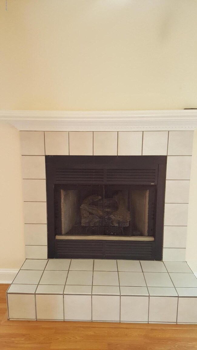 Gas Log Fireplace