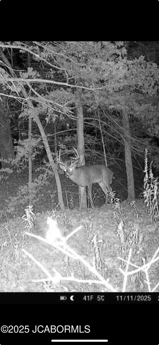 3312 Honey Creek Rd, Jefferson City, MO 65101 - photo 6