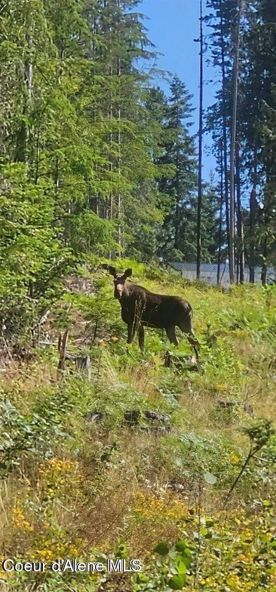 Lot 2 of the Replat of Lot 2 Blk 1, Kingston, ID 83839 - photo 4