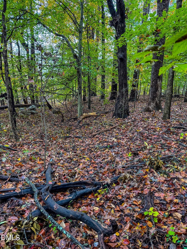 143 Lankford St, Roxboro, NC 27573 - photo 5