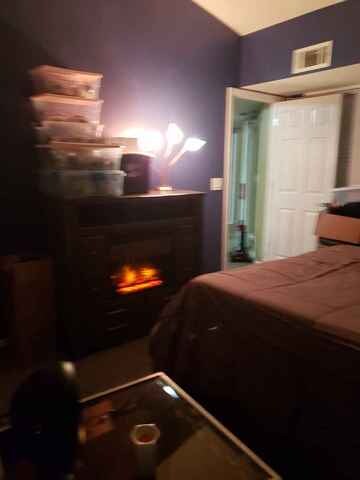 766 N Gary Ave unit 208, Carol Stream, IL 60188 - photo 6