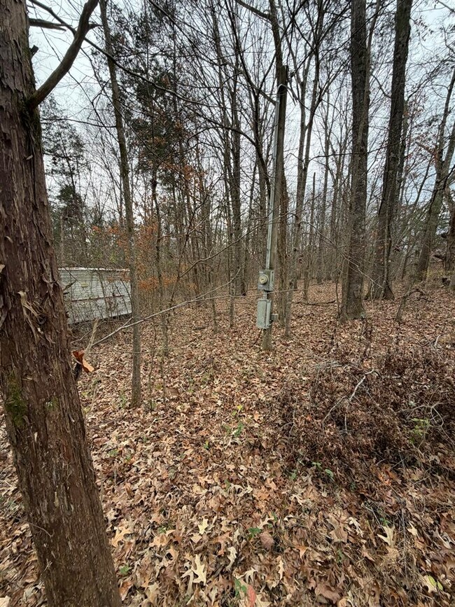 2351 N Logan School Rd, Lewisburg, KY 42256 - photo 5