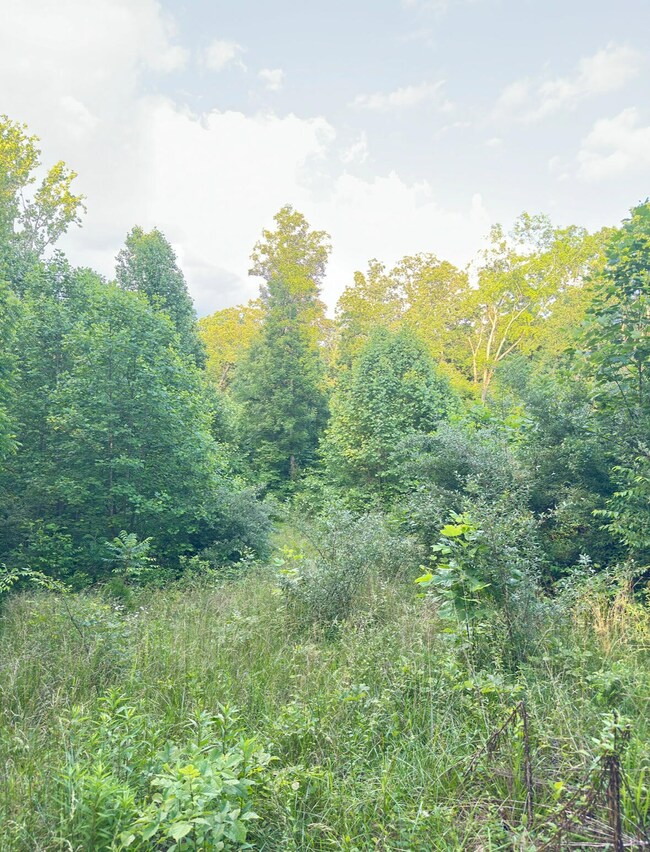 Lot 128 Un 1 Lakeview Dr, Burnside, KY 42519 - photo 4