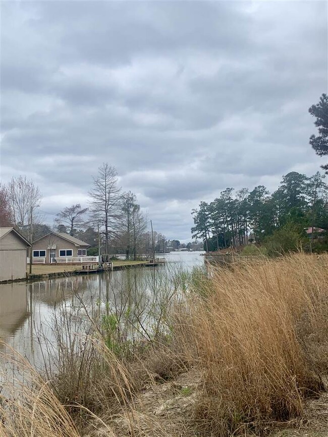 000 Magnolia Pointe Dr, Gantt, AL 36421 - photo 3