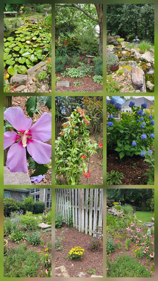 Backyard Oasis!