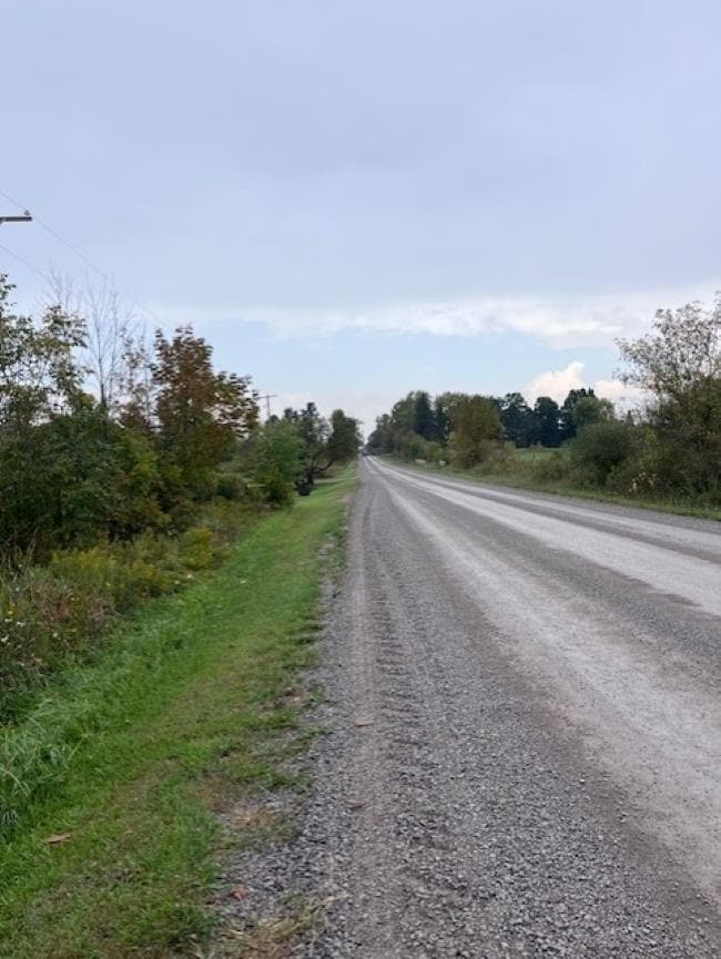 1051 N Cummings Rd, Davison Township, MI 48423 - photo 2