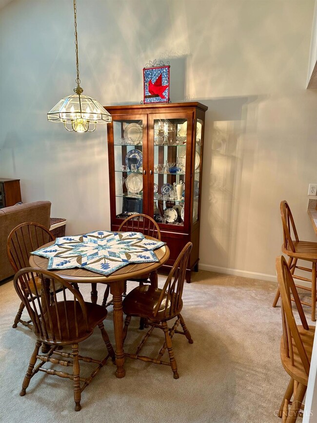 213 Hanover Ct unit 213, Delaware, OH 43015 - photo 5