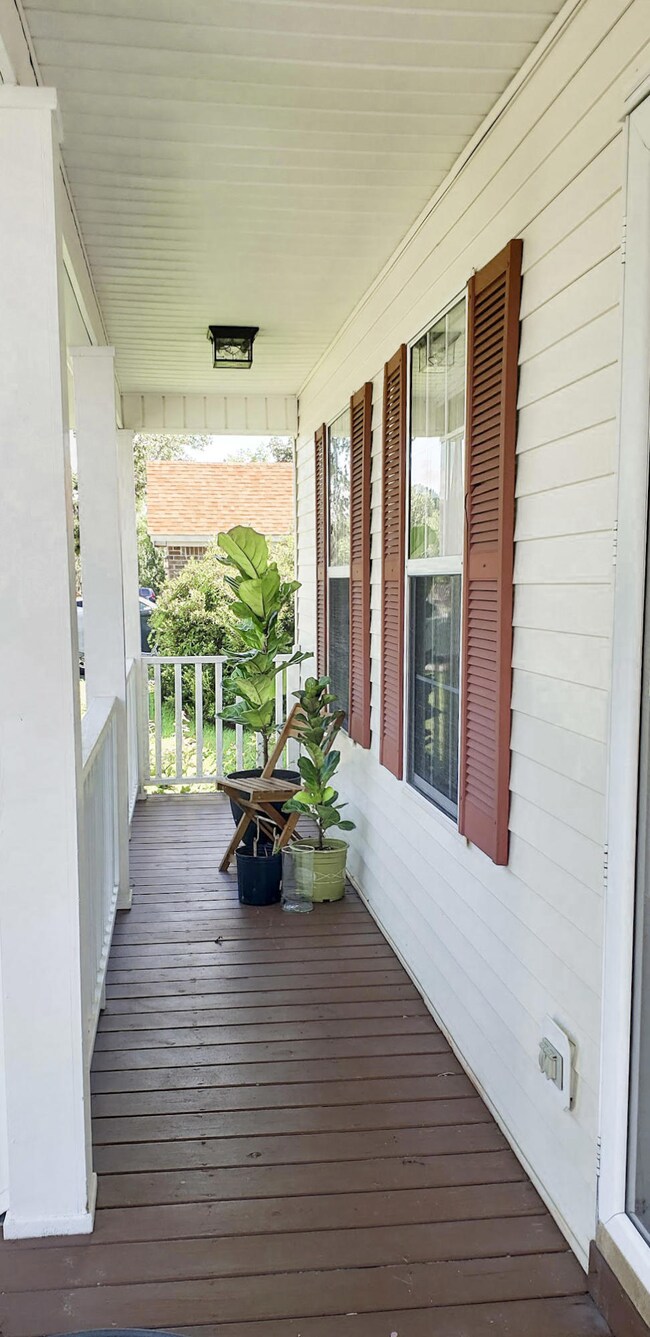 121 Evergreen Magnolia