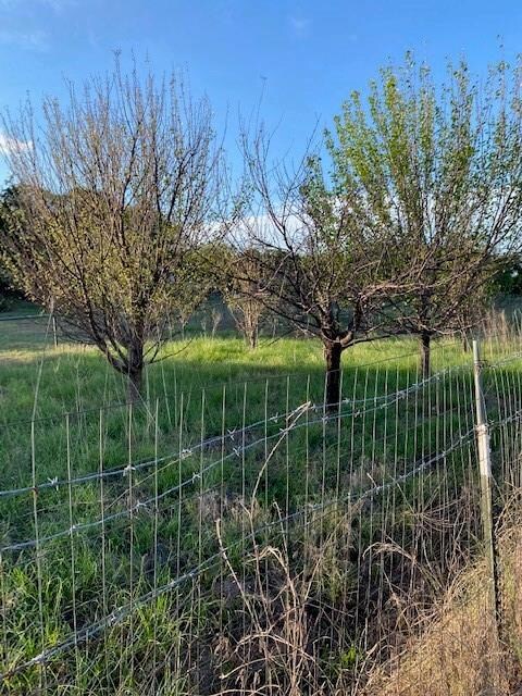 2684 N Cardinal Dr N, Reno, TX 76020 - photo 3