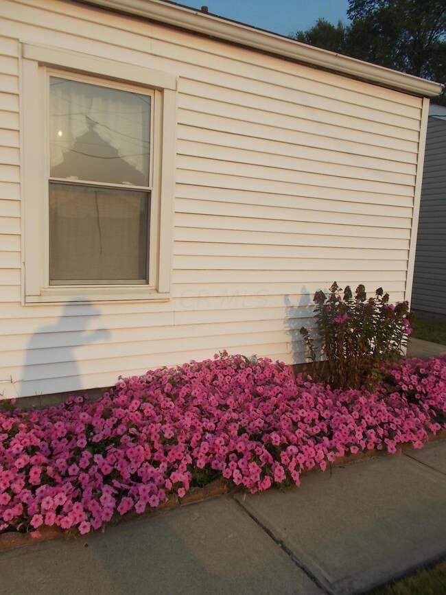 524 Catherine Ave, Marion, OH 43302 - photo 4