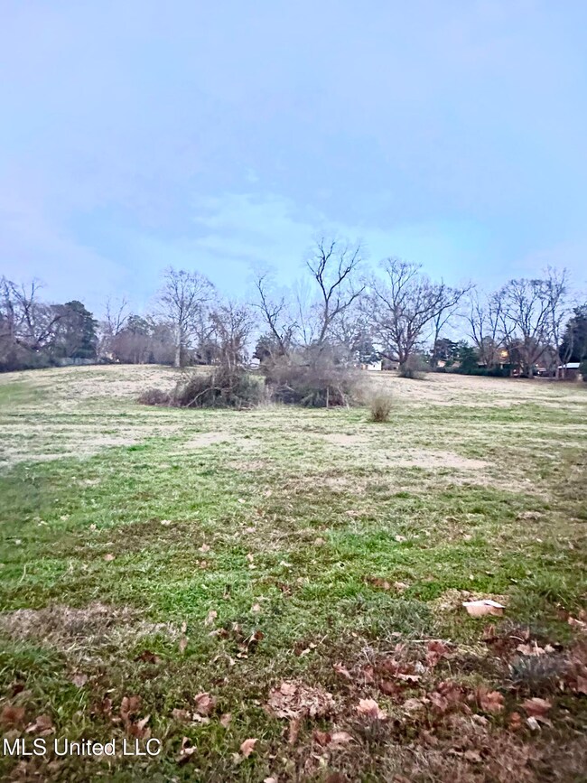 0 4th Ave SW, Magee, MS 39111 - photo 3