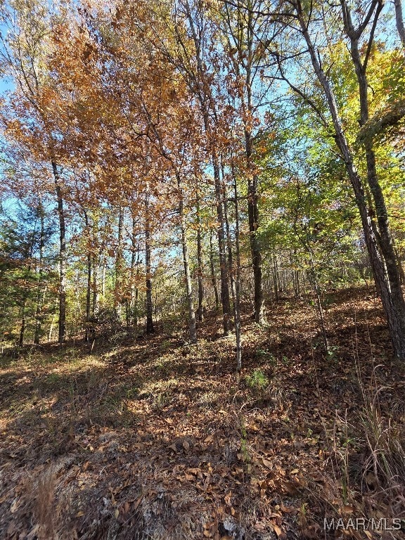 0 Parker Rd, Wetumpka, AL 360 - photo 5