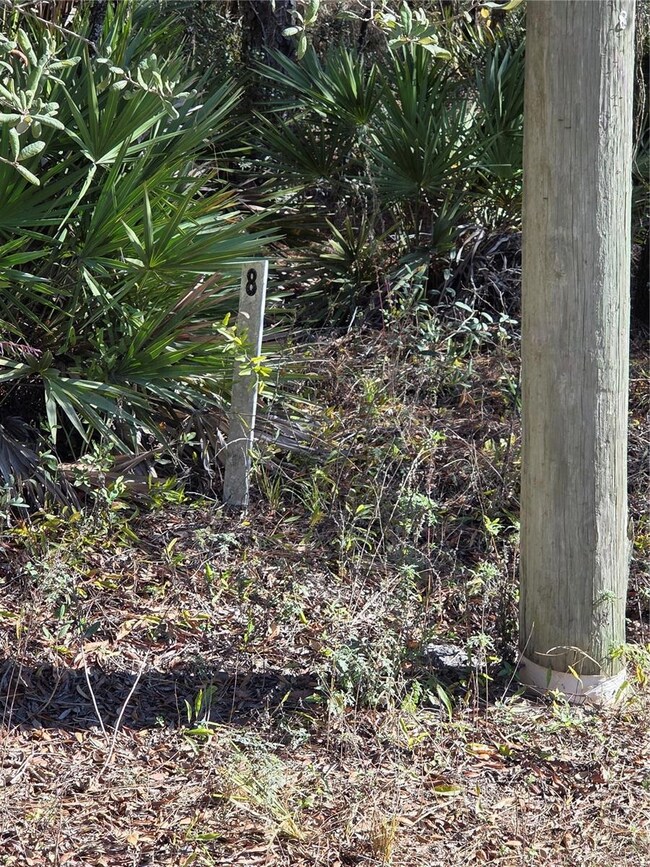 1351 R E Byrd Rd, Frostproof, FL 33843 - photo 2