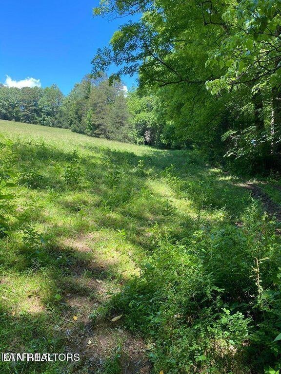 Lot 7 Chapman Rd, Lafollette, TN 37766 - photo 3