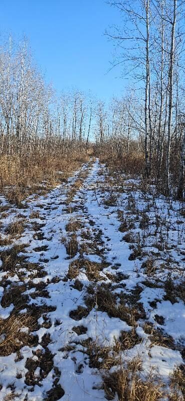 Parcel 3 Willow Rd NE, Carlos, MN 56319 - photo 5