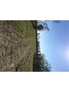 15356 Butler Rd, Siloam Springs, AR 72761 - photo 7