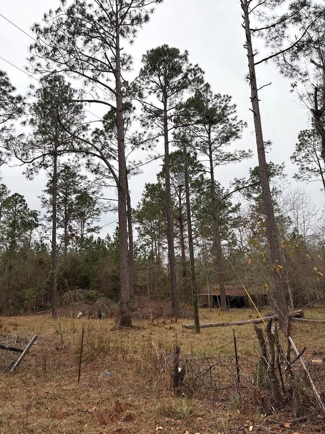 223 Hill Rd, Lyons, GA 30436 - photo 4