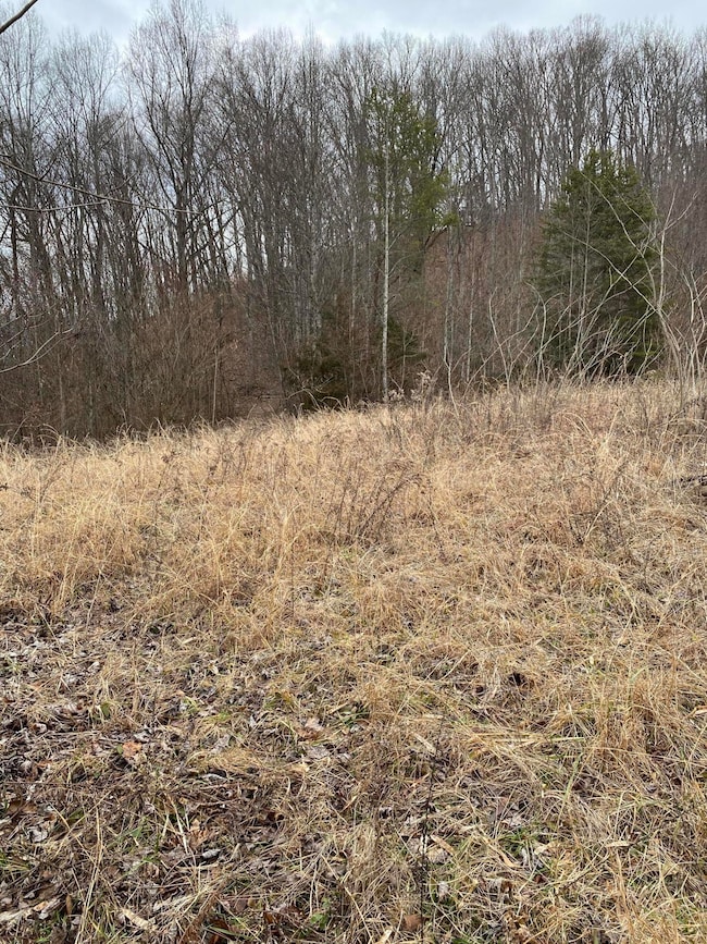 Flat spot looking up hill