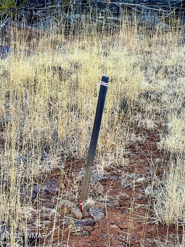 8789 Bruce Cir, Show Low, AZ 85901 - photo 4