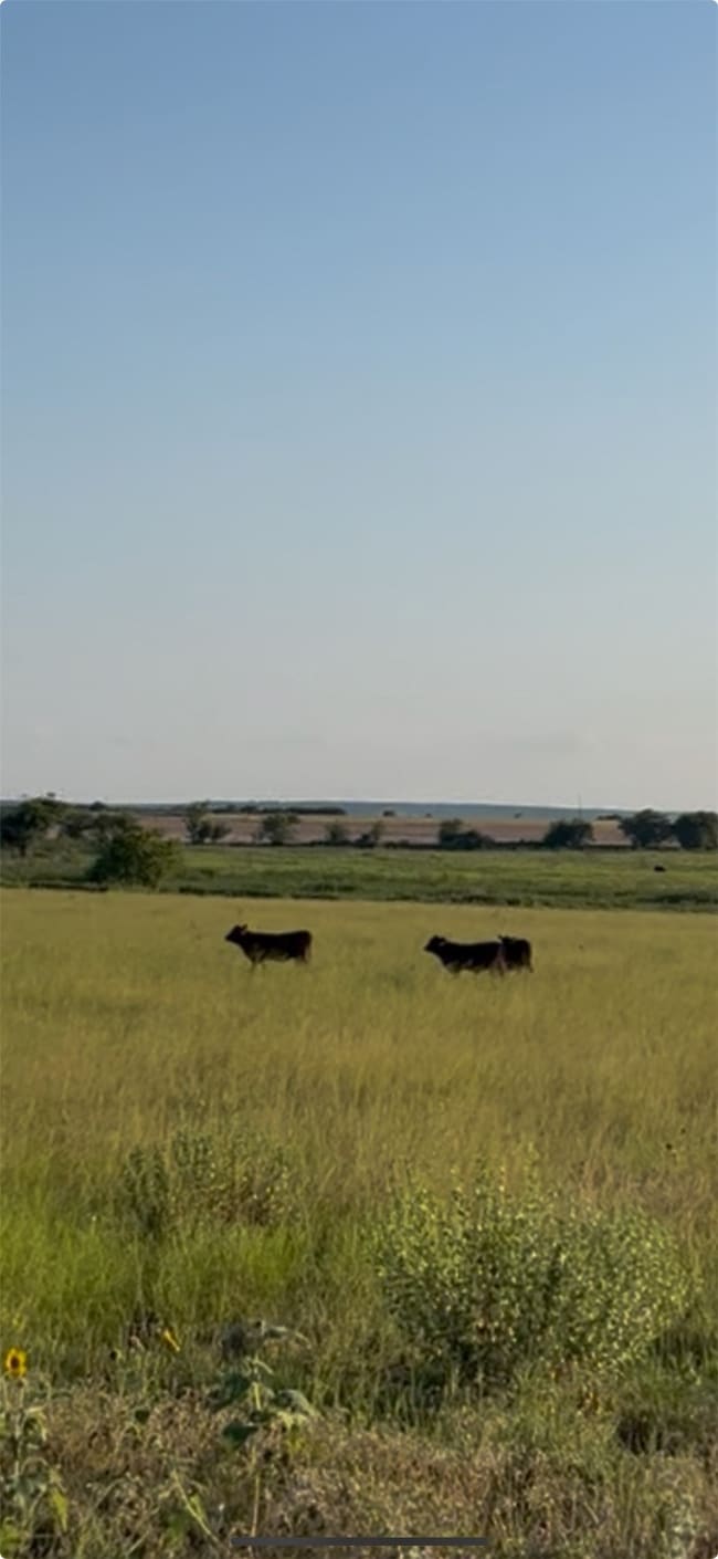 View of nature with rural landscape