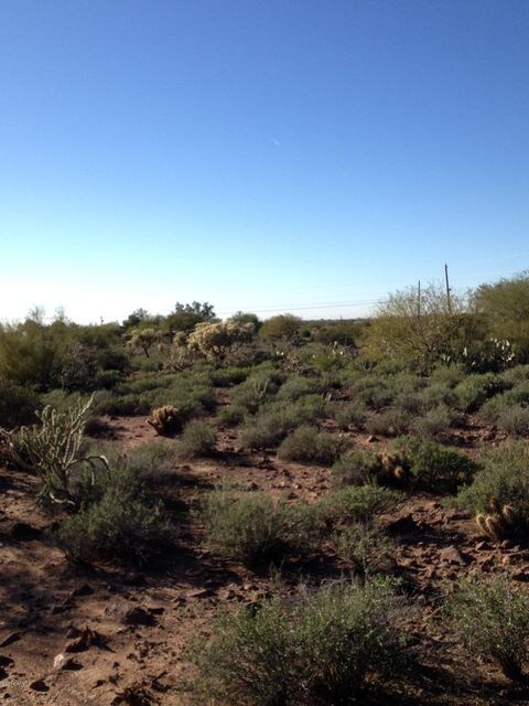 Other West View on Property