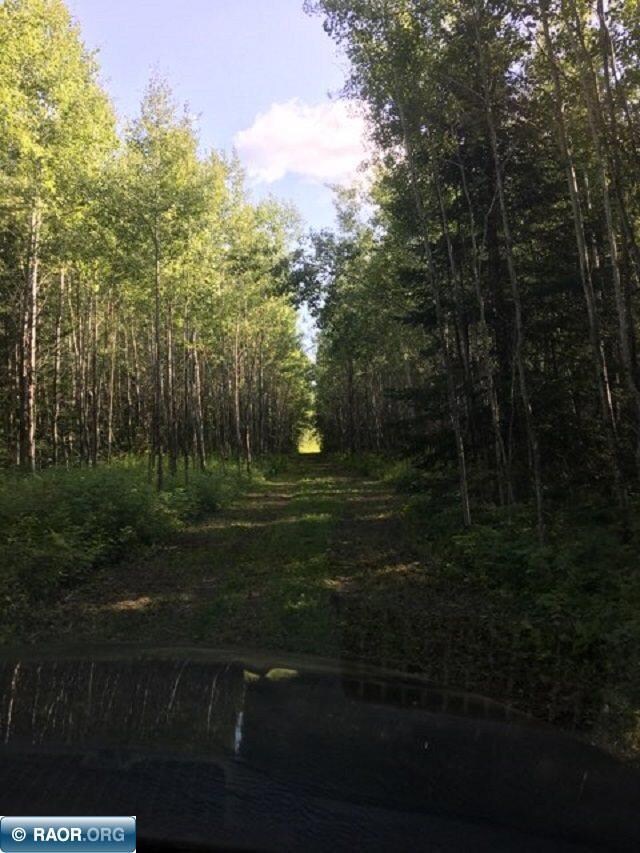TBD Arkola Rd, Toivola, MN 55765 - photo 2