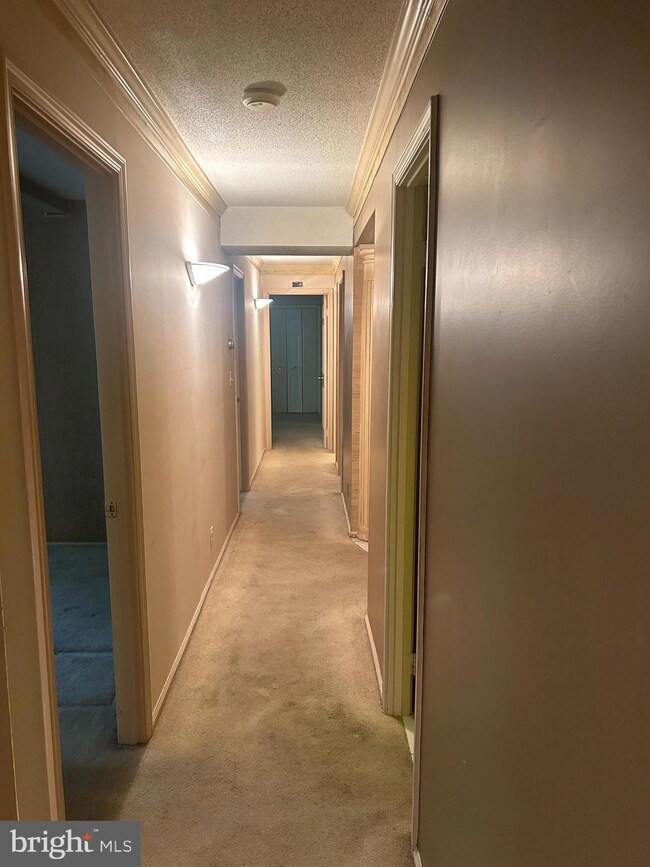 7721 Tremayne Place unit 304, McLean, VA 22102 - photo 6