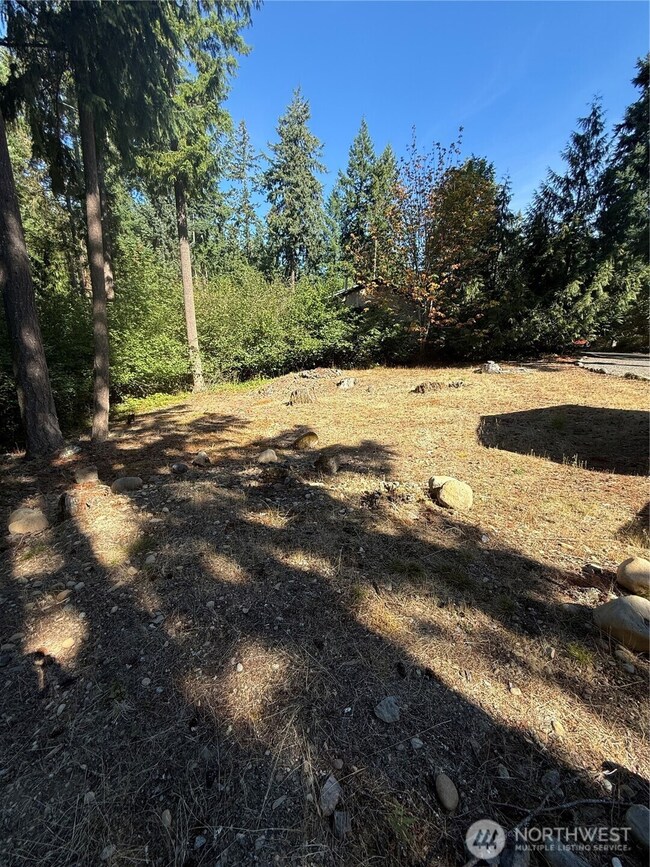 18313 Lofty Ct SE, Yelm, WA 98597 - photo 7