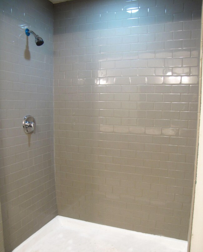 Master Shower