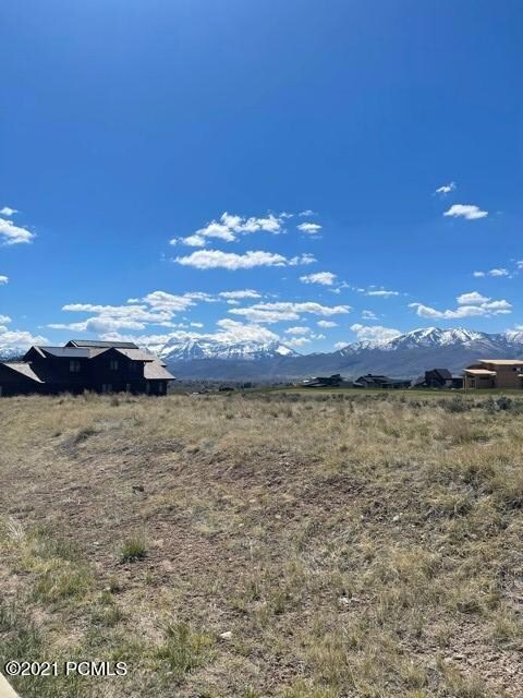 Lot 253