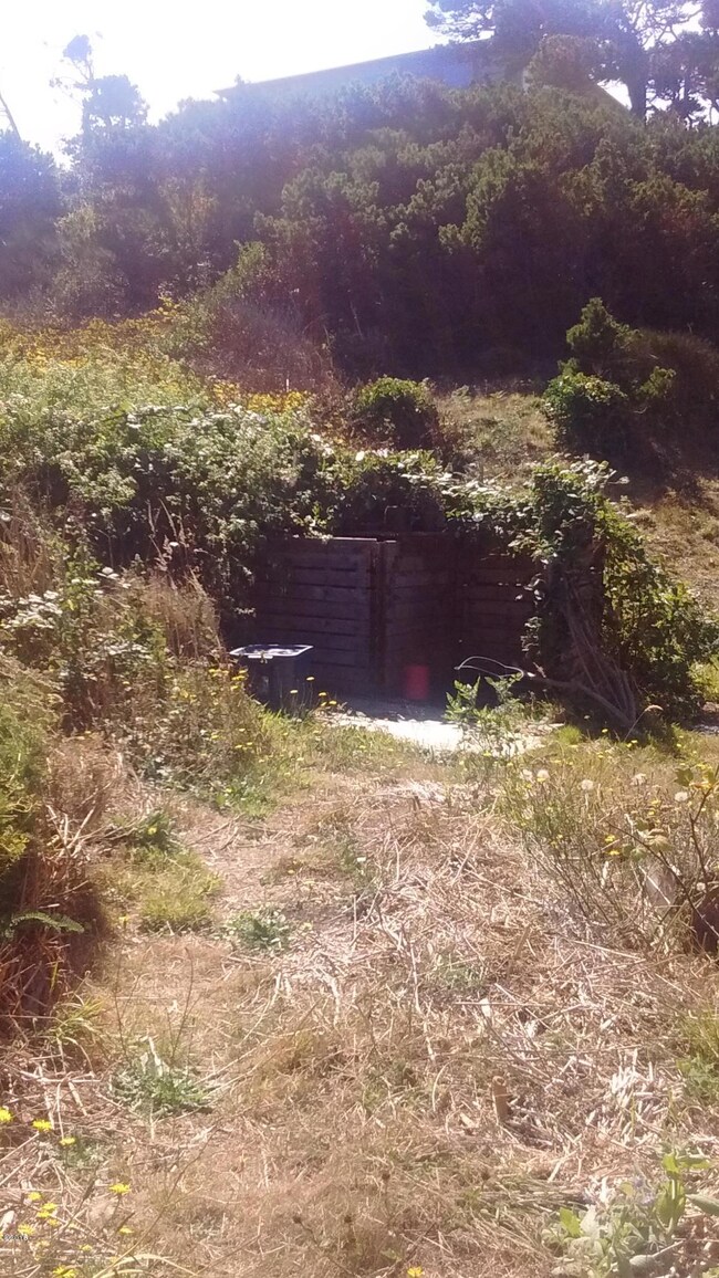 backyard 3