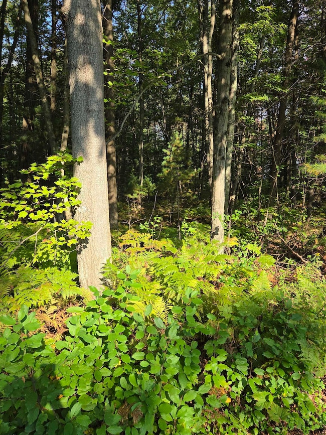 0 Hale Rd unit 50315282, Peshtigo, WI 54157 - photo 4