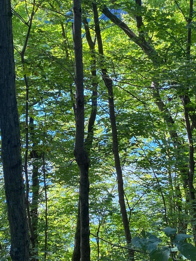 LT 908 Stonegate Dr Dr, Burnside, KY 42519 - photo 3