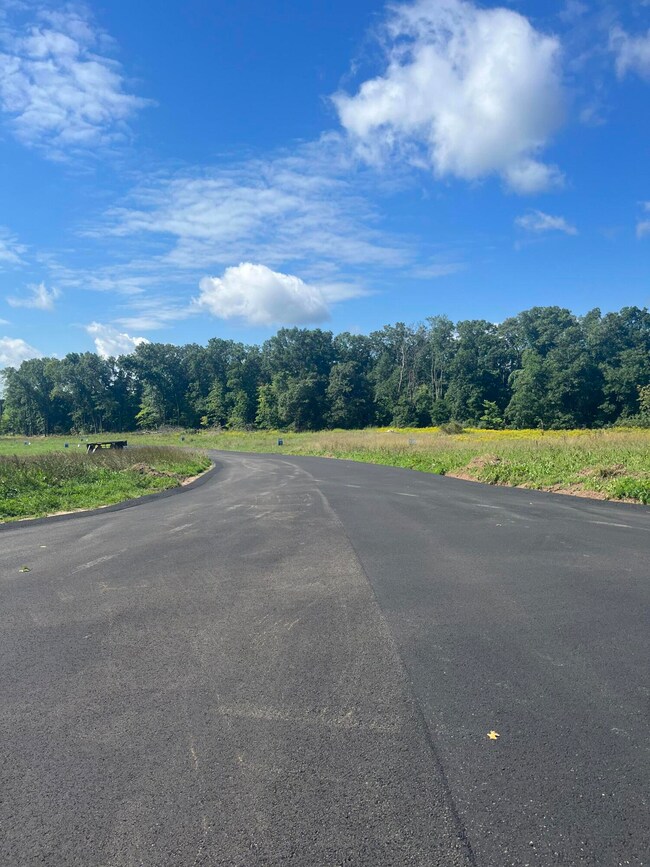 12887 Triple Oak unit 12, Lowell, MI 49331 - photo 2