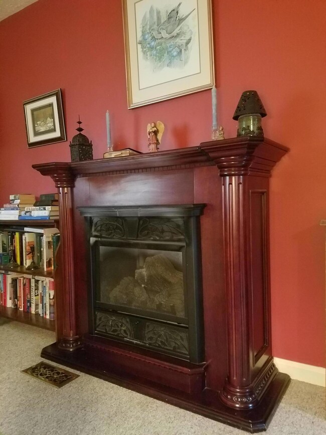 Gas fireplace
