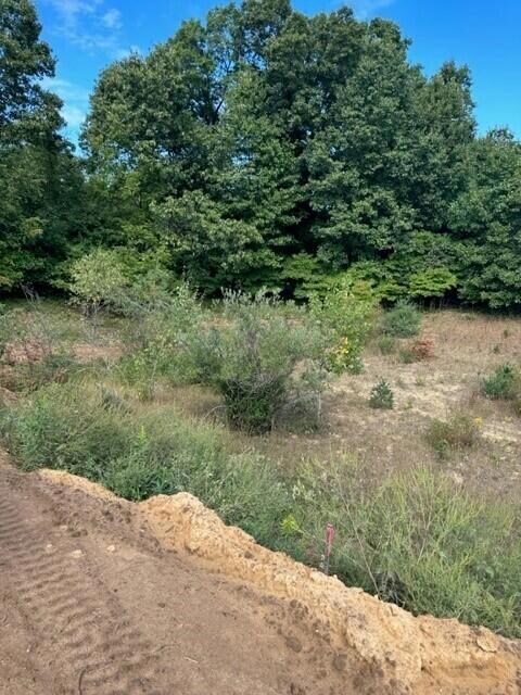 2724 Pasture Ln, Wayland, MI 49348 - photo 6