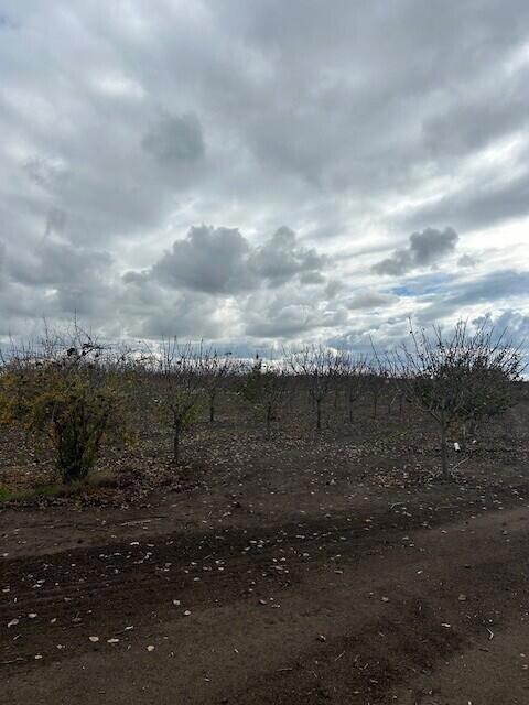 0 Ave 100 unit 238477, Terra Bella, CA 93270 - photo 2