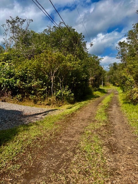 Looking down Kanahele rd lot is the left.