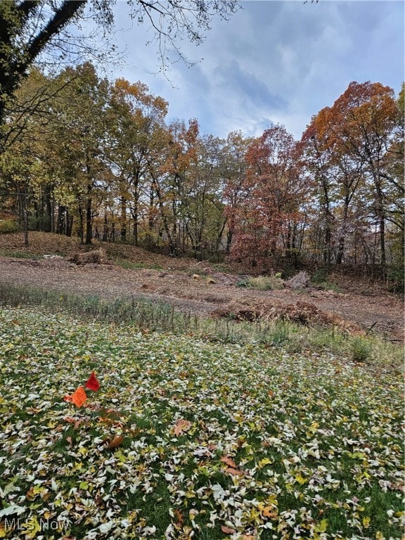 220 F St SW, Navarre, OH 44662 - photo 7