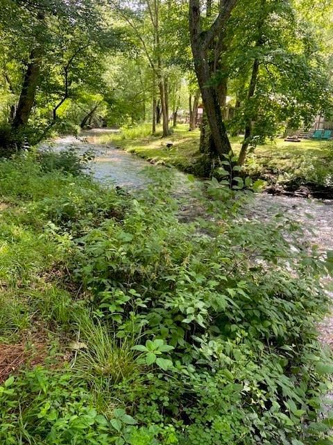 View of creek