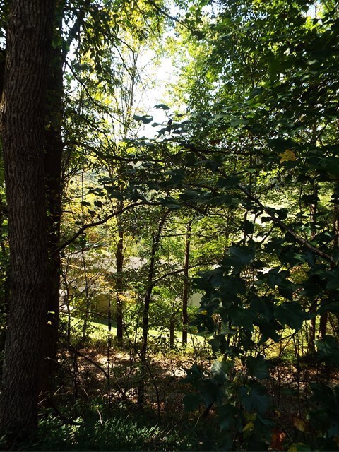 113 Bel Air Rd, Cullowhee, NC 28723 - photo 5