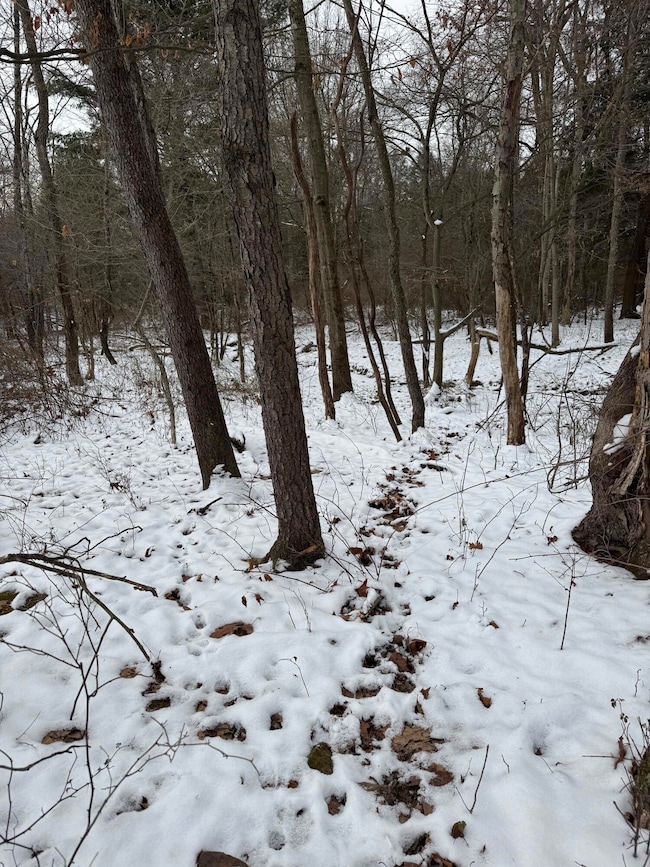 0 Richardsville Rd, Brookville, PA 15825 - photo 5