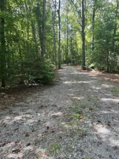 Tr 1 Rev Burch Cove Rd, Hayesville, NC 28904 - photo 2